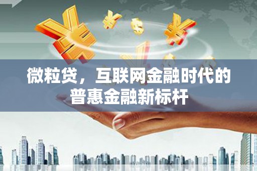 苍南微粒贷，互联网金融时代的普惠金融新标杆
