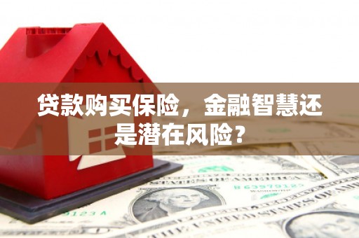 苍南贷款购买保险，金融智慧还是潜在风险？