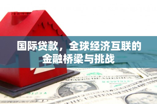 苍南国际贷款，全球经济互联的金融桥梁与挑战