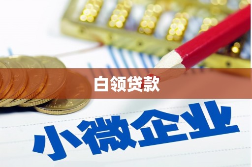 苍南白领贷款