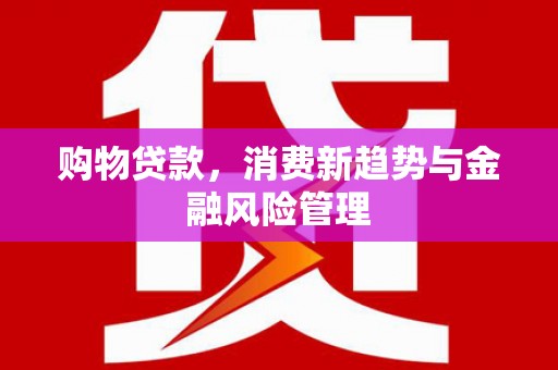 苍南购物贷款，消费新趋势与金融风险管理