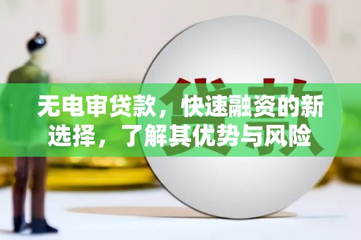 苍南无电审贷款，快速融资的新选择，了解其优势与风险