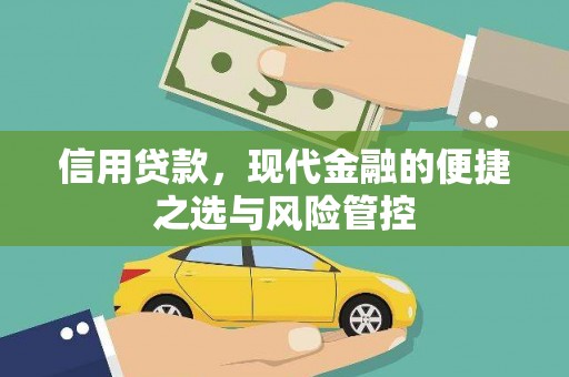 苍南信用贷款，现代金融的便捷之选与风险管控