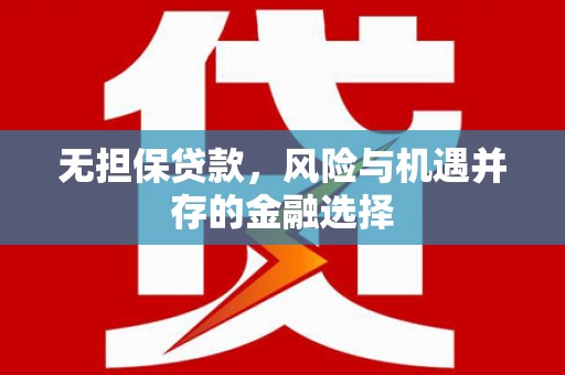 苍南无担保贷款，风险与机遇并存的金融选择