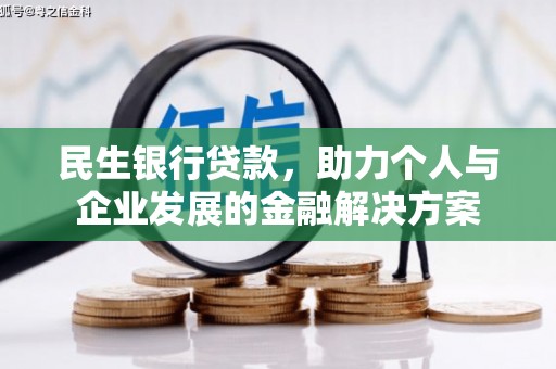 苍南民生银行贷款，助力个人与企业发展的金融解决方案