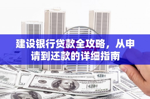 苍南建设银行贷款全攻略，从申请到还款的详细指南