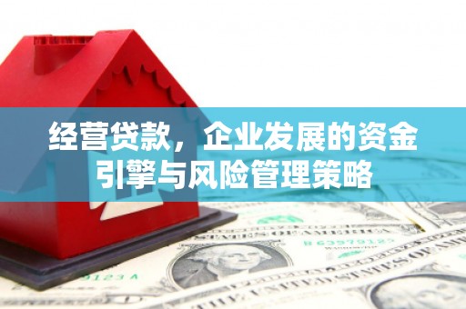 苍南经营贷款，企业发展的资金引擎与风险管理策略
