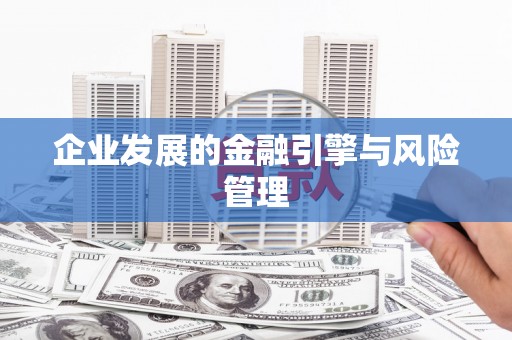 苍南企业发展的金融引擎与风险管理