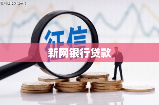 苍南新网银行贷款