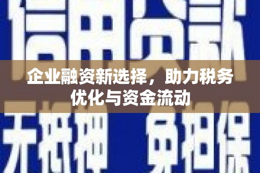 苍南企业融资新选择，助力税务优化与资金流动