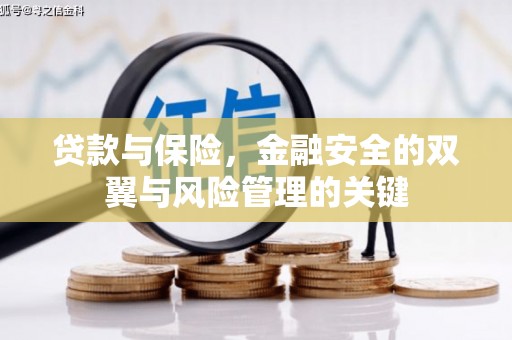 苍南贷款与保险，金融安全的双翼与风险管理的关键