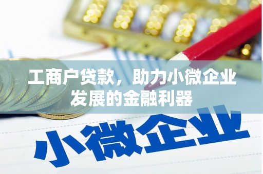 苍南工商户贷款,助力小微企业发展的金融利器 苍南工商户贷款,助力小微企业发展的金融利器