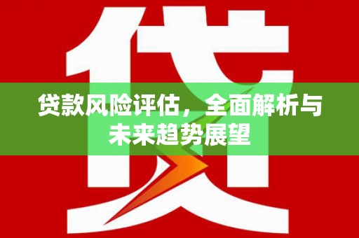 苍南贷款风险评估，全面解析与未来趋势展望