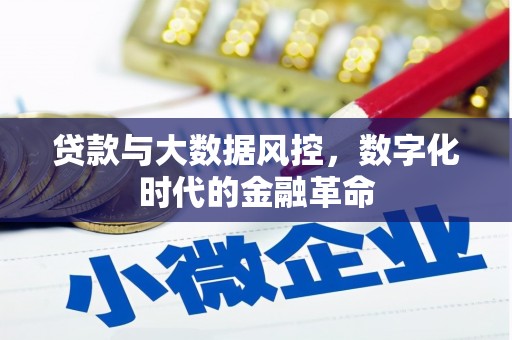 苍南贷款与大数据风控，数字化时代的金融革命