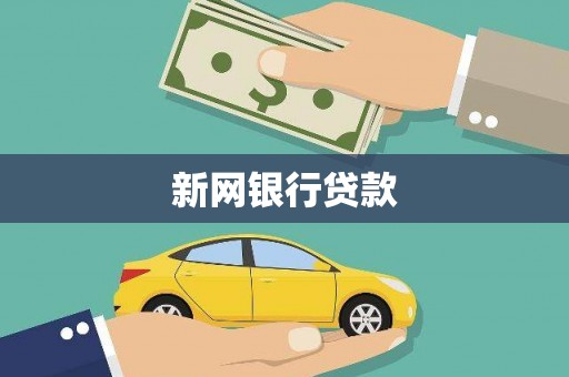 苍南新网银行贷款