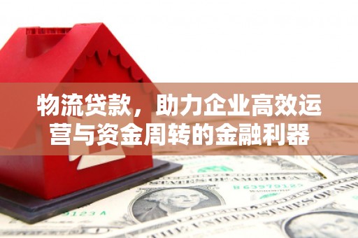 苍南物流贷款，助力企业高效运营与资金周转的金融利器