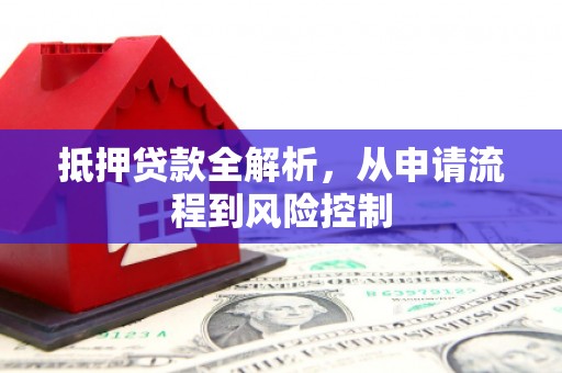 苍南抵押贷款全解析，从申请流程到风险控制