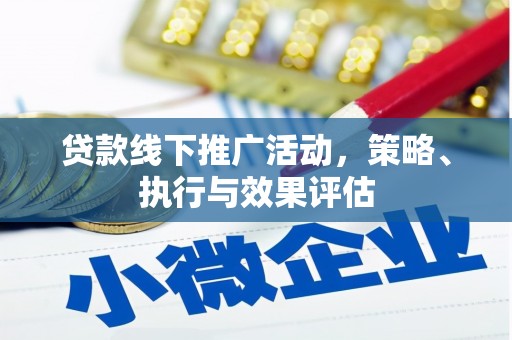 苍南贷款线下推广活动，策略、执行与效果评估