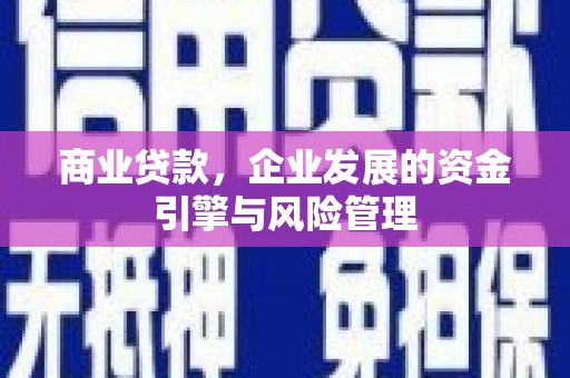 苍南商业贷款，企业发展的资金引擎与风险管理