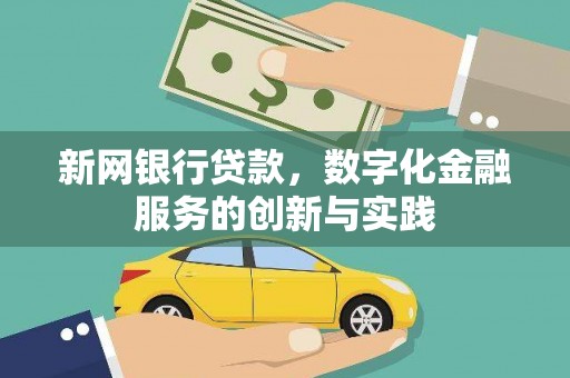苍南新网银行贷款，数字化金融服务的创新与实践