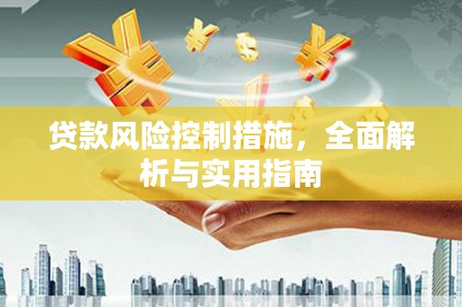 苍南贷款风险控制措施，全面解析与实用指南