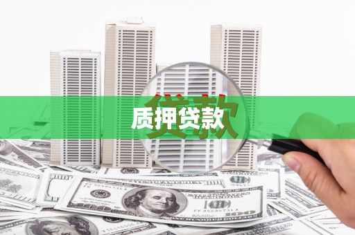 苍南质押贷款