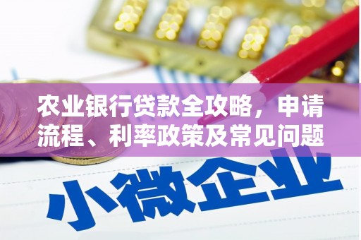 苍南农业银行贷款全攻略，申请流程、利率政策及常见问题解析