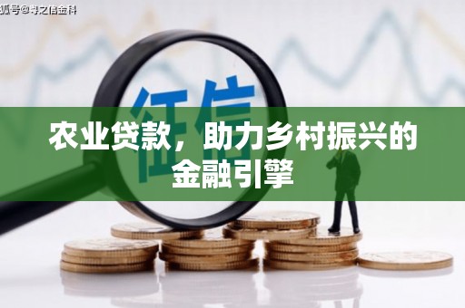 苍南农业贷款，助力乡村振兴的金融引擎