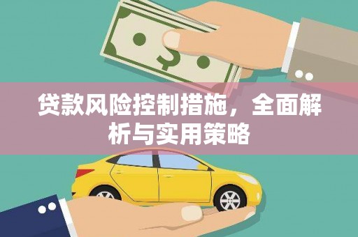 苍南贷款风险控制措施，全面解析与实用策略