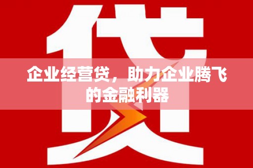 苍南企业经营贷，助力企业腾飞的金融利器