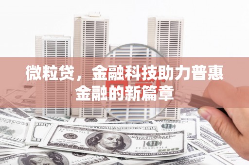 苍南微粒贷，金融科技助力普惠金融的新篇章