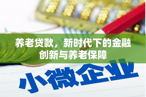 苍南养老贷款，新时代下的金融创新与养老保障