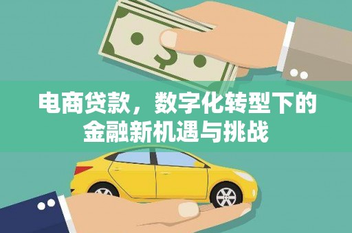 苍南电商贷款，数字化转型下的金融新机遇与挑战