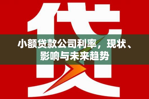 苍南小额贷款公司利率，现状、影响与未来趋势