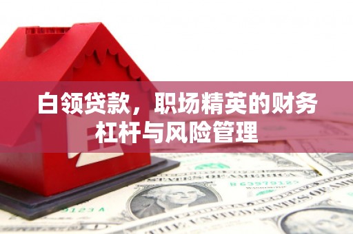 苍南白领贷款，职场精英的财务杠杆与风险管理