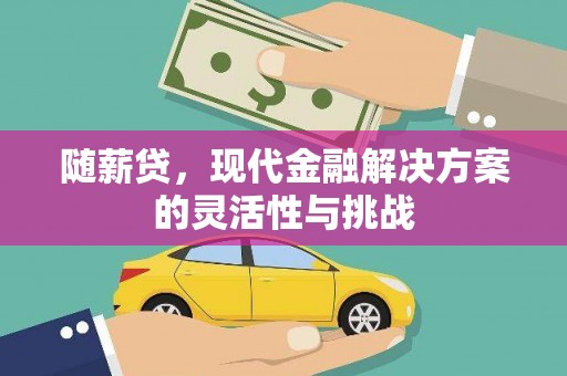苍南随薪贷，现代金融解决方案的灵活性与挑战