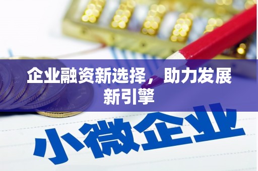 苍南企业融资新选择，助力发展新引擎
