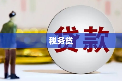 苍南税务贷