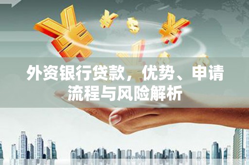 苍南外资银行贷款，优势、申请流程与风险解析