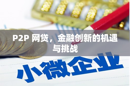 苍南P2P 网贷，金融创新的机遇与挑战