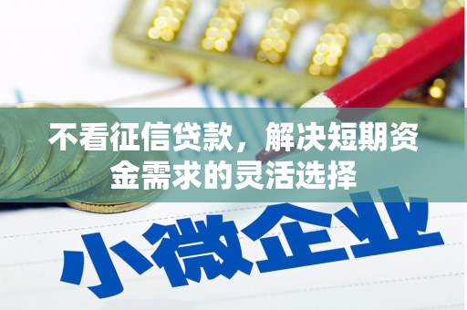 苍南不看征信贷款，解决短期资金需求的灵活选择
