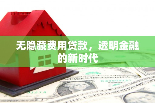 苍南无隐藏费用贷款，透明金融的新时代