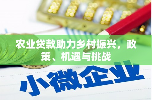 苍南农业贷款助力乡村振兴，政策、机遇与挑战