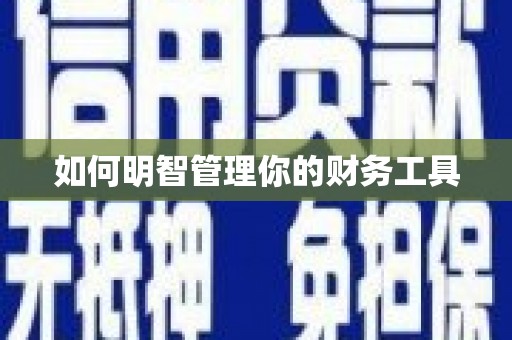 苍南如何明智管理你的财务工具