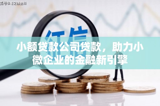 苍南小额贷款公司贷款，助力小微企业的金融新引擎