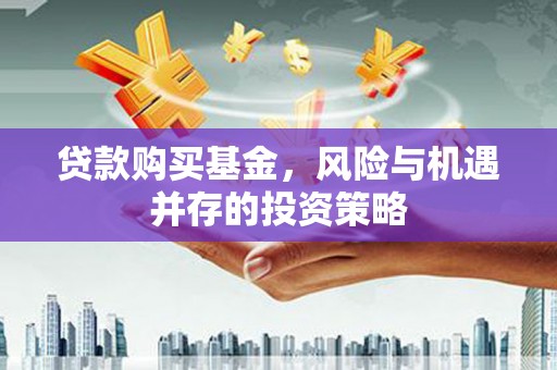 苍南贷款购买基金，风险与机遇并存的投资策略