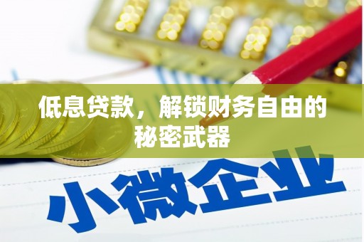 苍南低息贷款，解锁财务自由的秘密武器