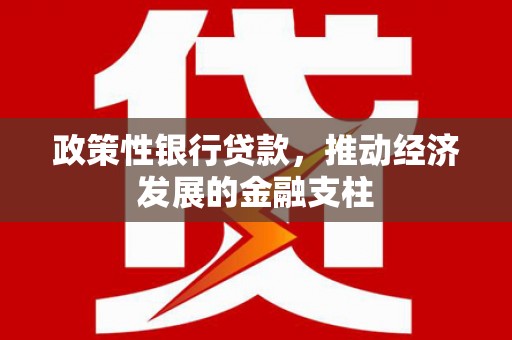苍南政策性银行贷款，推动经济发展的金融支柱