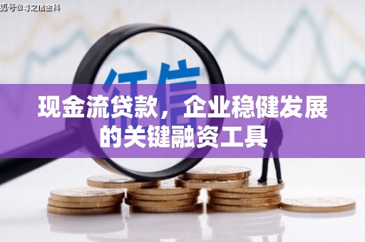 苍南现金流贷款，企业稳健发展的关键融资工具