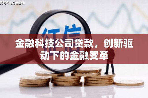苍南金融科技公司贷款，创新驱动下的金融变革